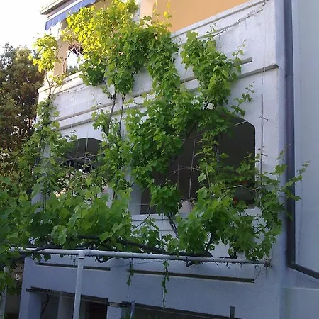 Mandre Jelena Apartman Exterior photo
