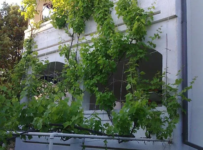 Mandre Jelena Apartman