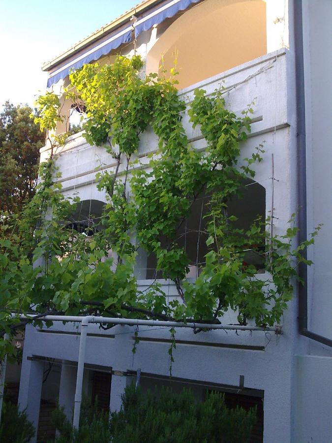 Apartma Jelena Mandre
