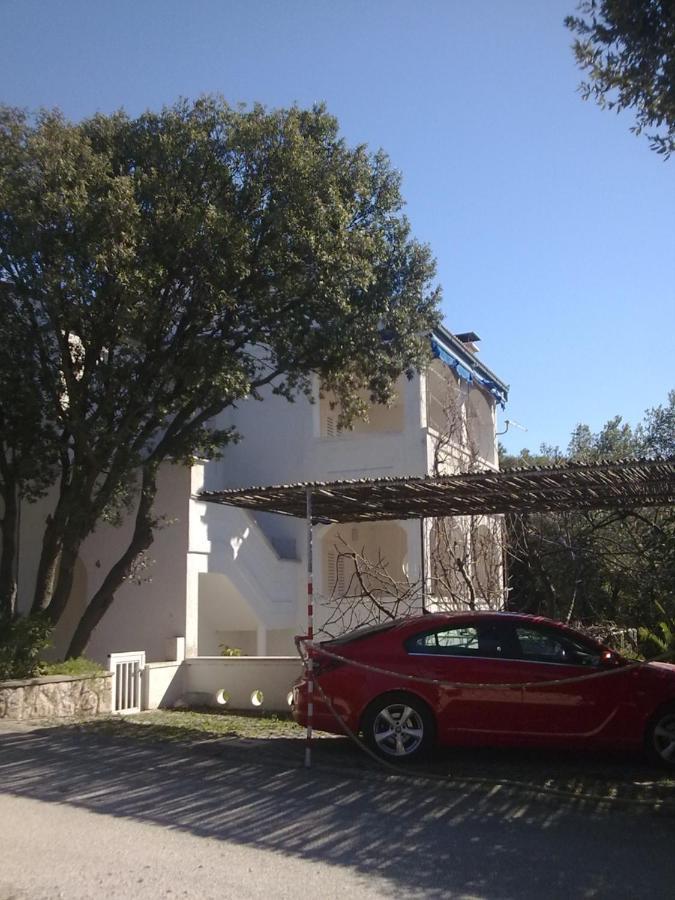 Apartma Jelena