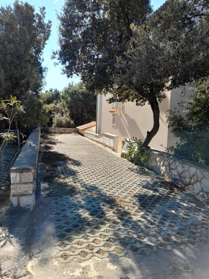 Apartma Jelena *